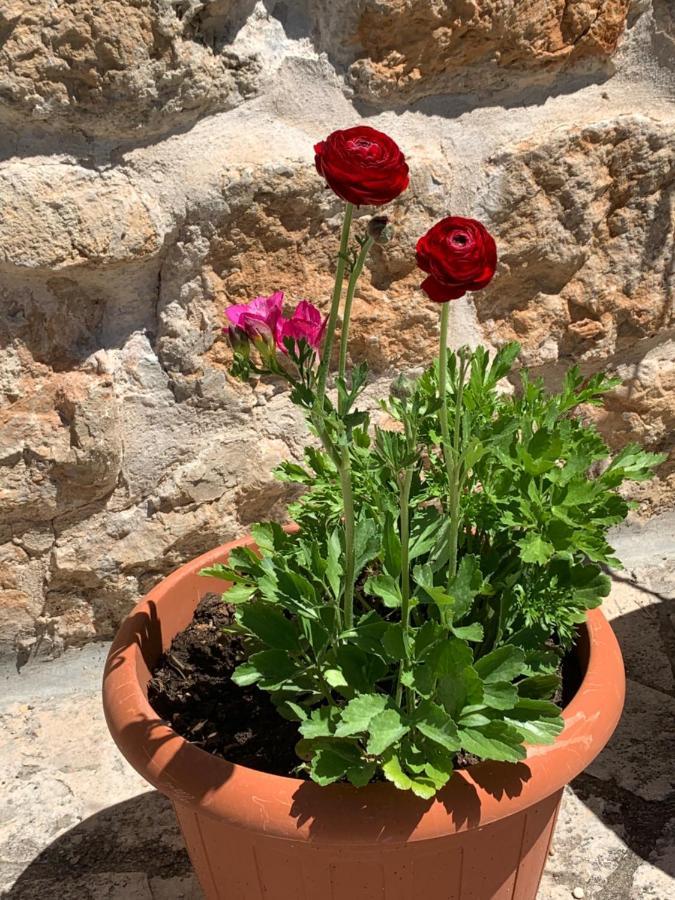 Guest house Libertas Dubrovnik